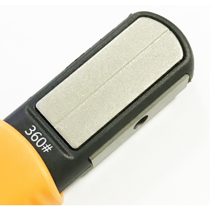 FGST2301