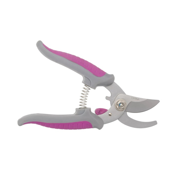 FGS2410