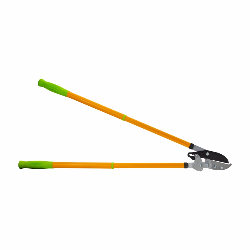 FGSBP2405