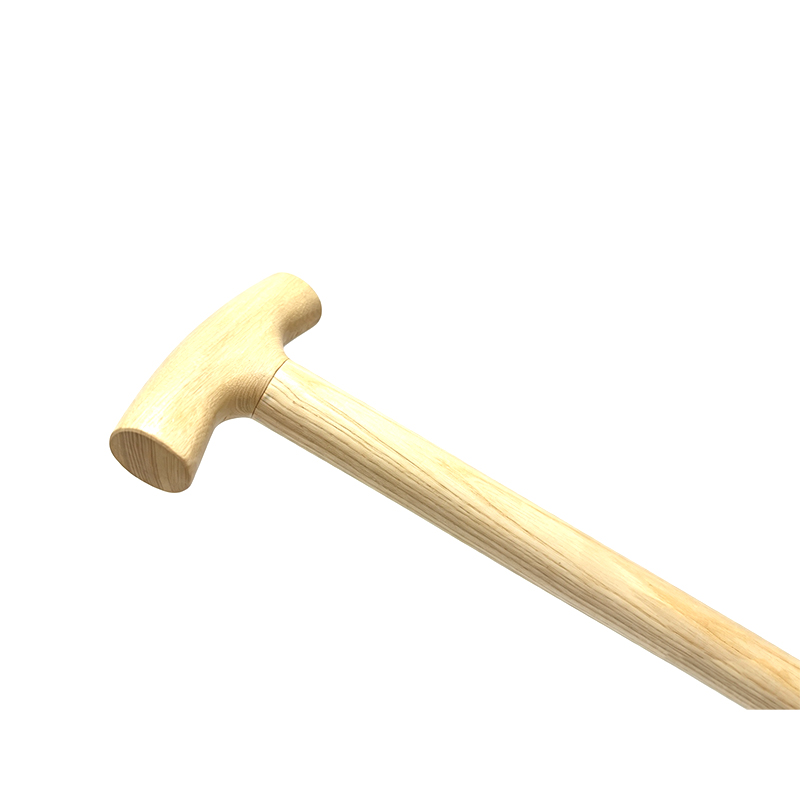 FGS‑T‑117