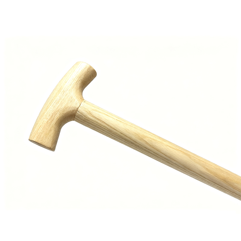 FGS‑T‑117